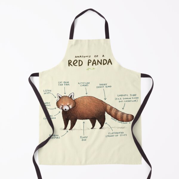 Item preview, Anatomy of a Red Panda designed and sold by SophieCorrigan.