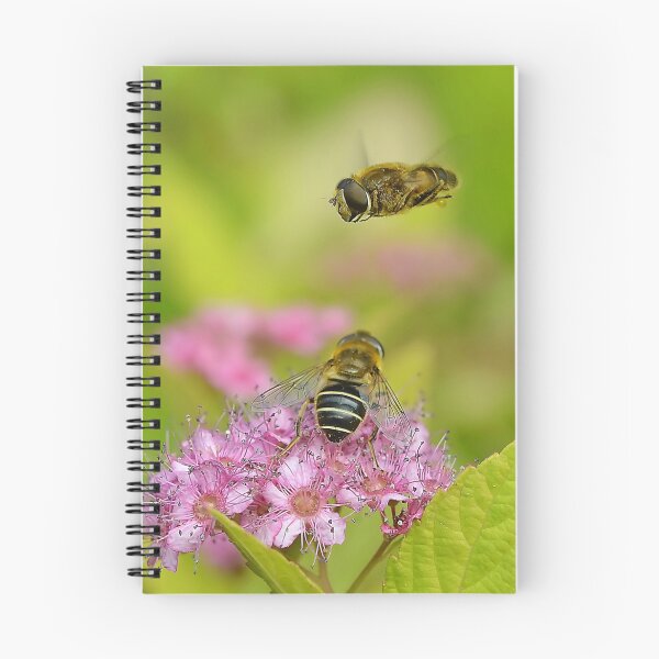 Item preview, Hoverflies  [ Please read description ] designed and sold by relayer51.