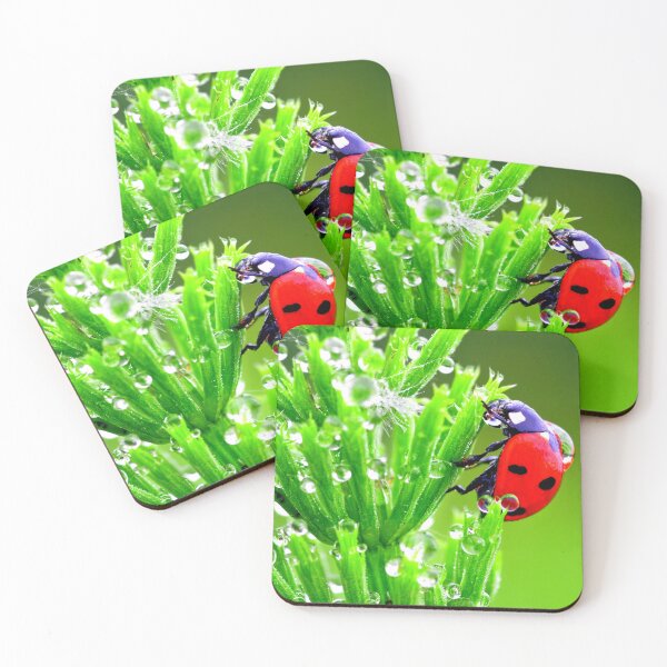Item preview, Ladybird photo with high resolution quality designed and sold by Allyouneed-2.