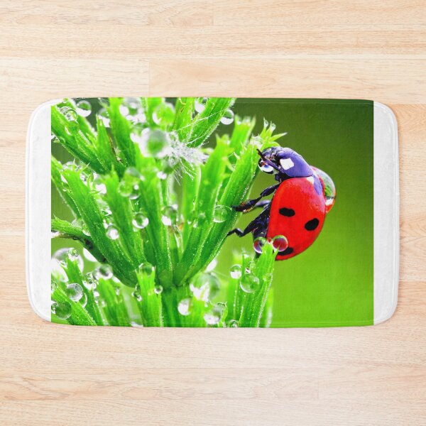 Item preview, Ladybird photo with high resolution quality designed and sold by Allyouneed-2.