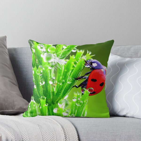 Item preview, Ladybird photo with high resolution quality designed and sold by Allyouneed-2.