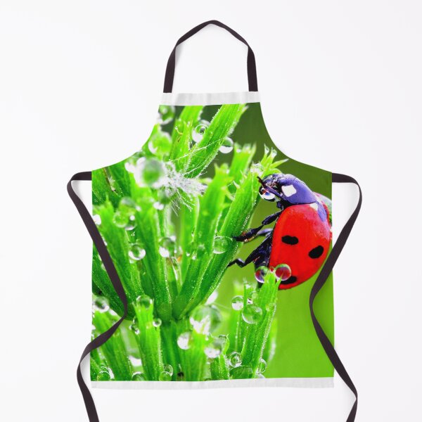 Item preview, Ladybird photo with high resolution quality designed and sold by Allyouneed-2.