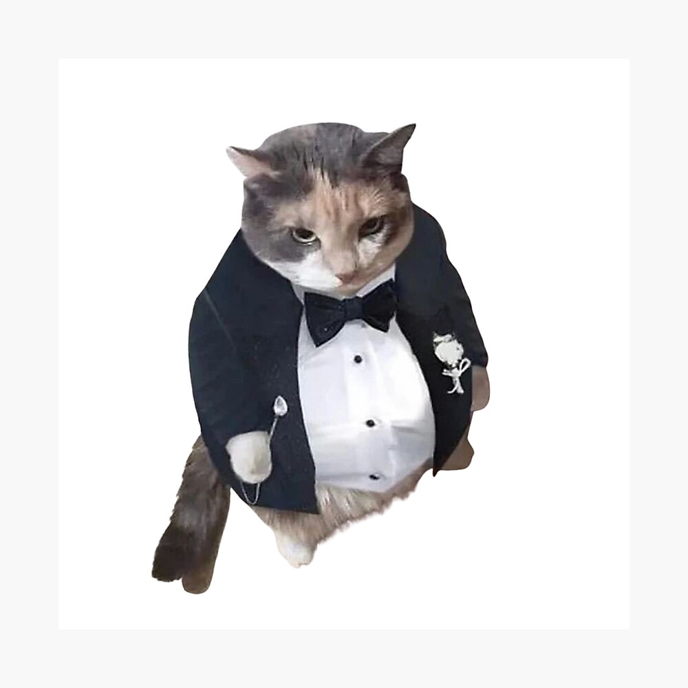 Angry Cat Meme Funny Cat Poster For Sale By Jassine11 Redbubble angry-cat-meme-funny-cat-poster-for-sale-by-jassine11-redbubble