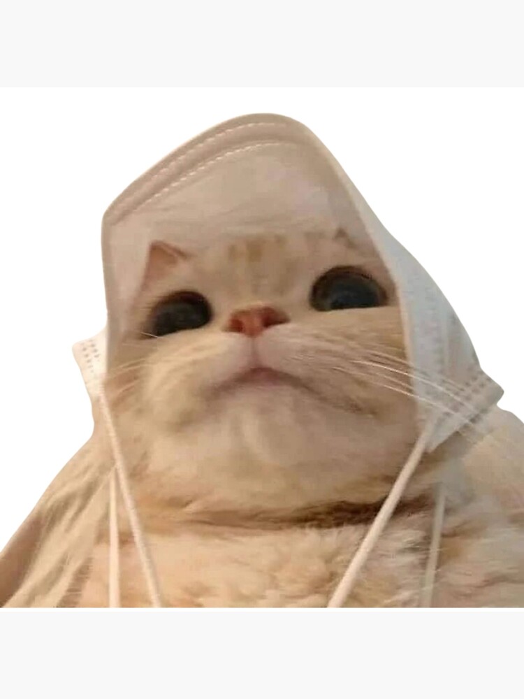 Meme Face Cat