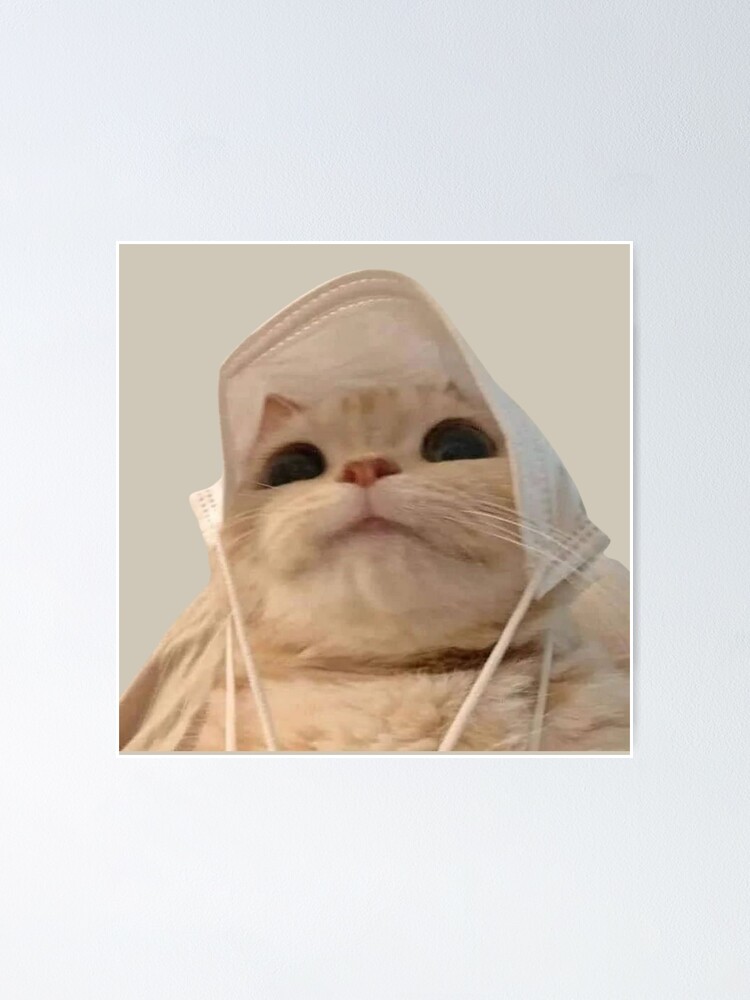 cat meme face | funny cat | Poster