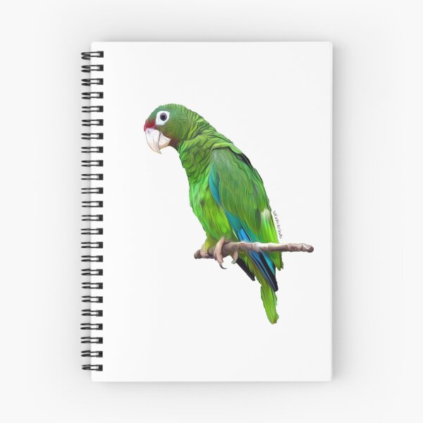 Item preview, Cotorra de Puerto Rico designed and sold by solcaribearts.