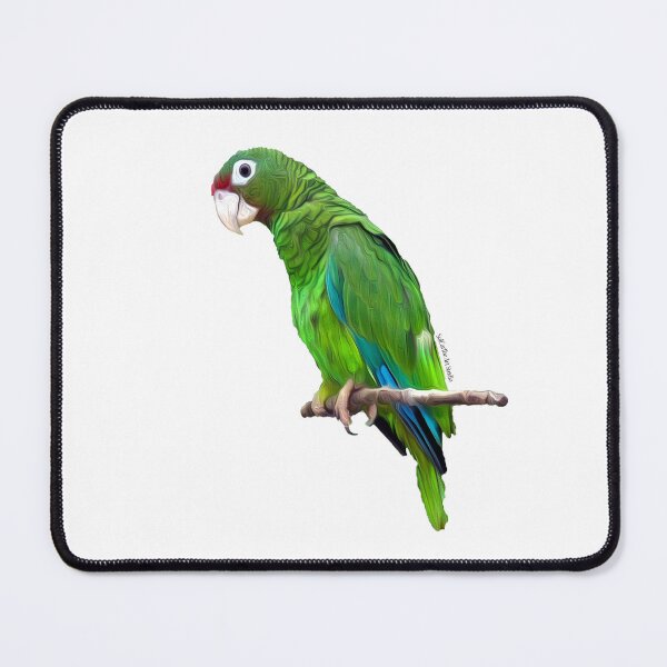Item preview, Cotorra de Puerto Rico designed and sold by solcaribearts.