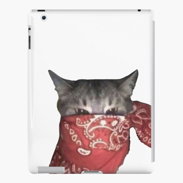 angry cat face meme iPad Case & Skin by auroragalavis