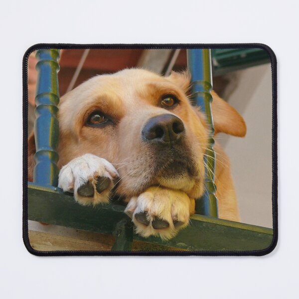 Item preview, The look of Love :) designed and sold by Tereza Pilar  Art.