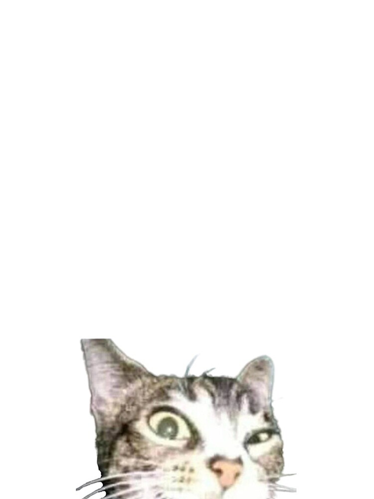 cat meme face, funny cat Photographic Print for Sale by jassine11