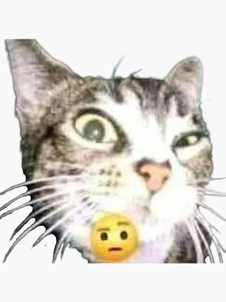 cat meme face | funny cat | Sticker