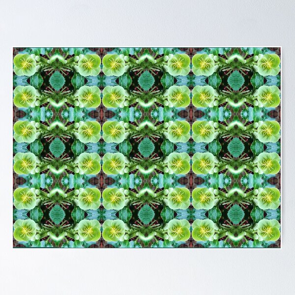 Deep Green Helleborus Photography Pattern Collection Collage Floral Poster