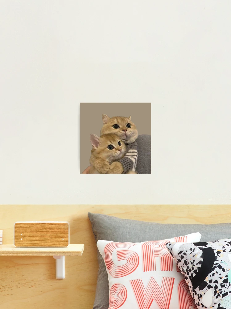 cat couple, cat lovers Photographic Print for Sale by jassine11