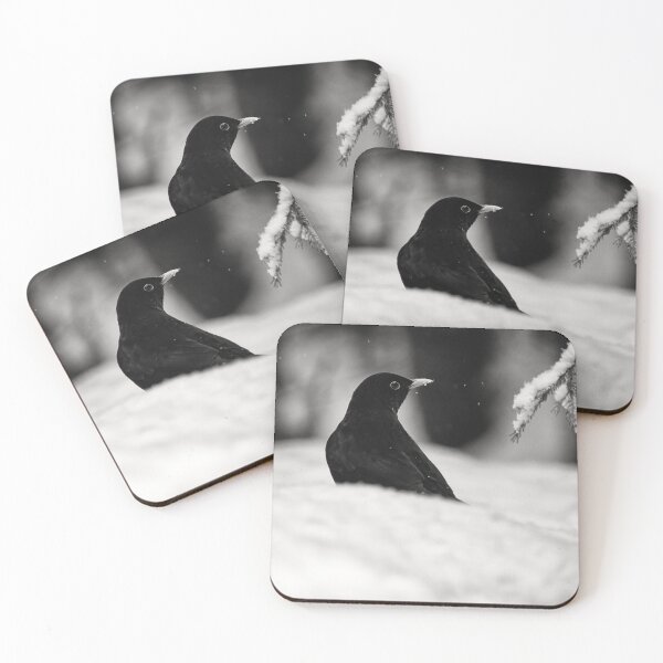 Item preview, Balck on white. Eurasian blackbird bw designed and sold by Jouko Lehto Photography.