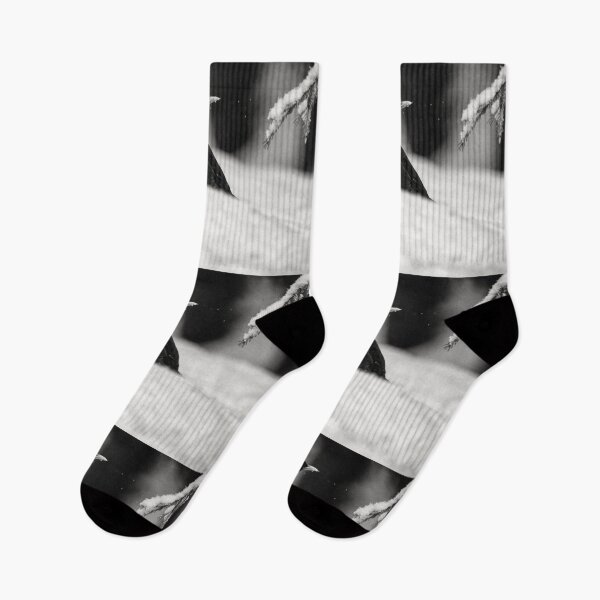 Item preview, Balck on white. Eurasian blackbird bw designed and sold by Jouko Lehto Photography.