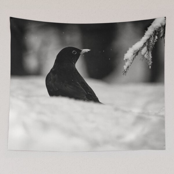 Item preview, Balck on white. Eurasian blackbird bw designed and sold by Jouko Lehto Photography.