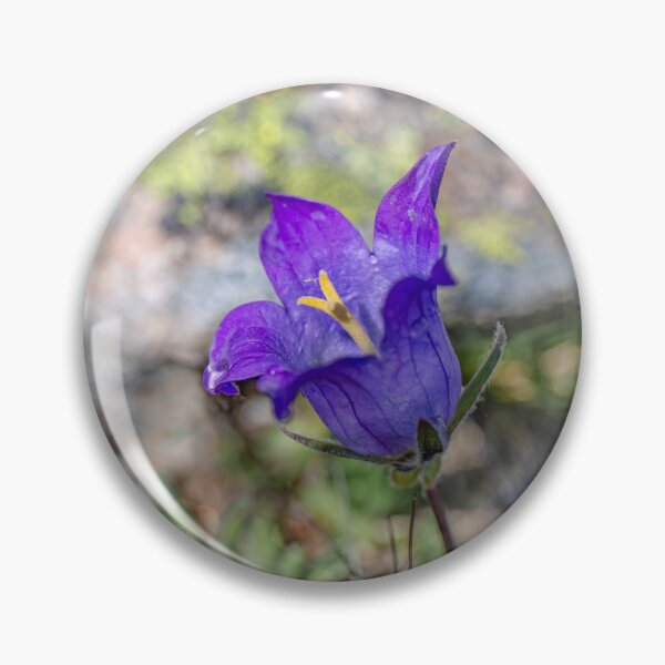 Item preview, Bellflower, campanula  designed and sold by Svetlana Korneliuk.