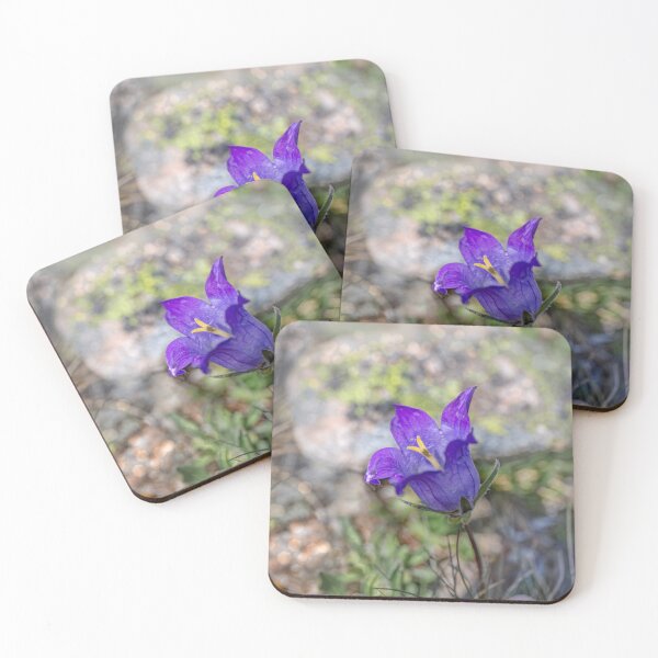 Item preview, Bellflower, campanula  designed and sold by Svetlana Korneliuk.