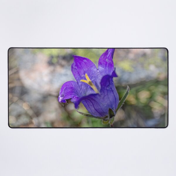 Item preview, Bellflower, campanula  designed and sold by Svetlana Korneliuk.