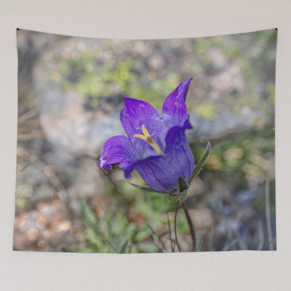 Item preview, Bellflower, campanula  designed and sold by Svetlana Korneliuk.