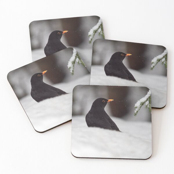 Item preview, Black on white. Eurasian blackbird designed and sold by Jouko Lehto Photography.