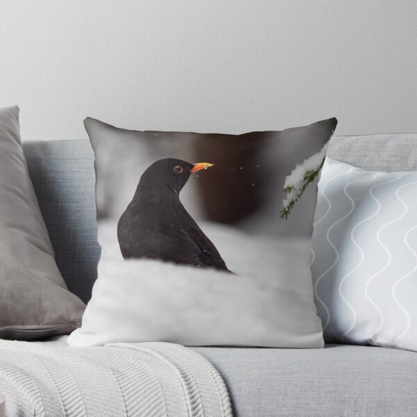 Item preview, Black on white. Eurasian blackbird designed and sold by Jouko Lehto Photography.