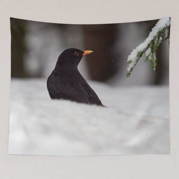 Item preview, Black on white. Eurasian blackbird designed and sold by Jouko Lehto Photography.