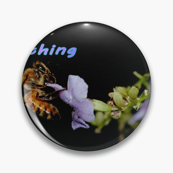 Item preview, Thanks designed and sold by Texas Enfocus Photography.