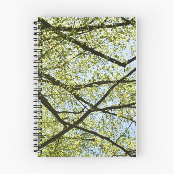 Item preview, Tree Graphics designed and sold by YogaBreak.