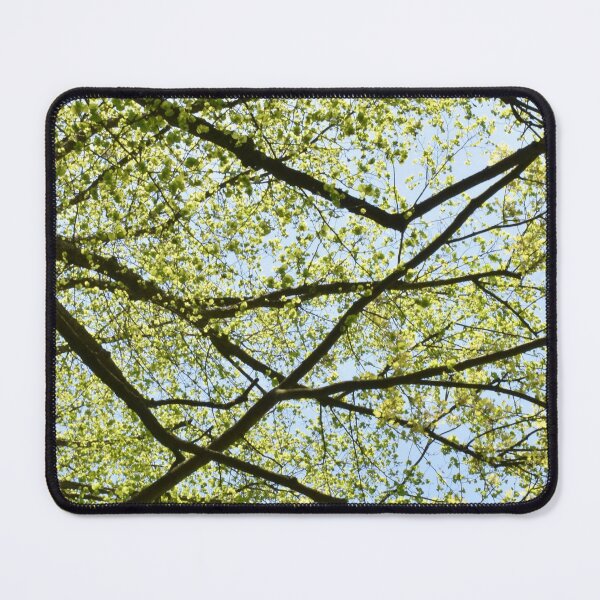 Item preview, Tree Graphics designed and sold by YogaBreak.
