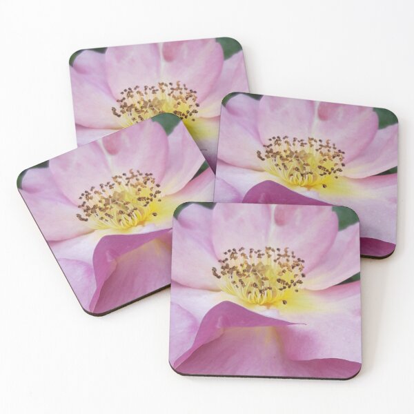 Item preview, Pink Rose designed and sold by amanda150771.