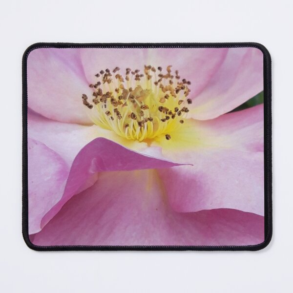 Item preview, Pink Rose designed and sold by amanda150771.