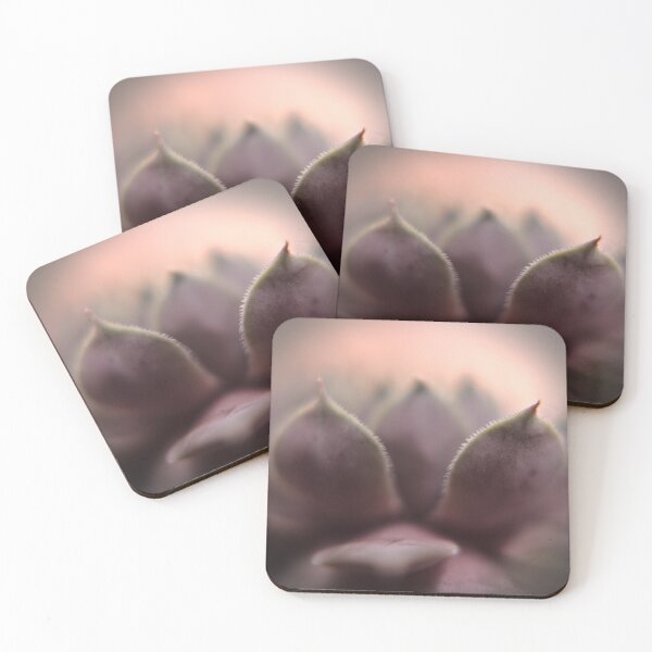 Item preview, Succulent designed and sold by Gritz - Photographer, AI Artist.