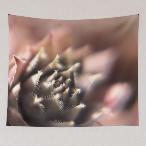 Item preview, Succulent from above designed and sold by Gritz - Photographer, AI Artist.