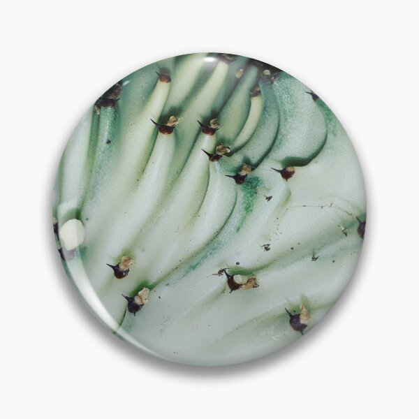 Item preview, Close up, plant photography designed and sold by YogaBreak.