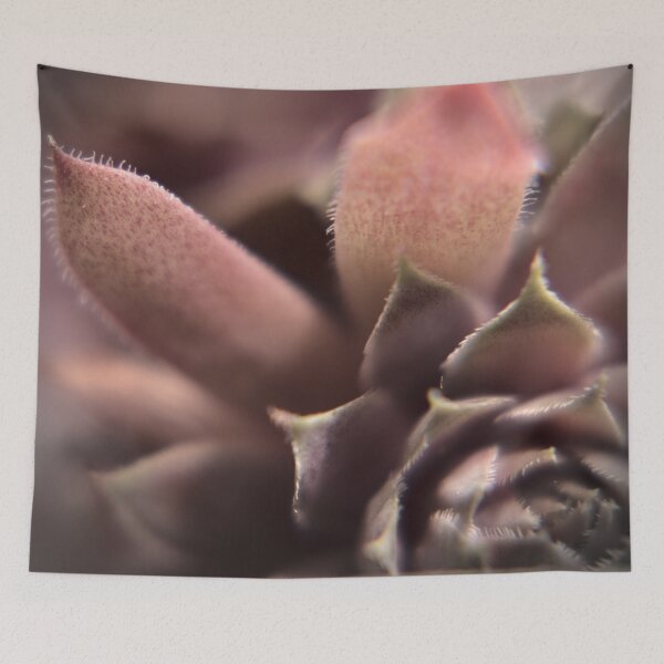 Item preview, Succulent designed and sold by Gritz - Photographer, AI Artist.