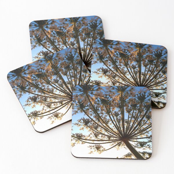 Item preview, Hogweed Flower designed and sold by YogaBreak.
