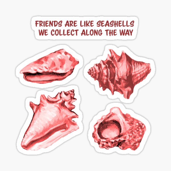 Quote Friends are like seashells we collect along the way, Shells, Seashells sticker Sticker