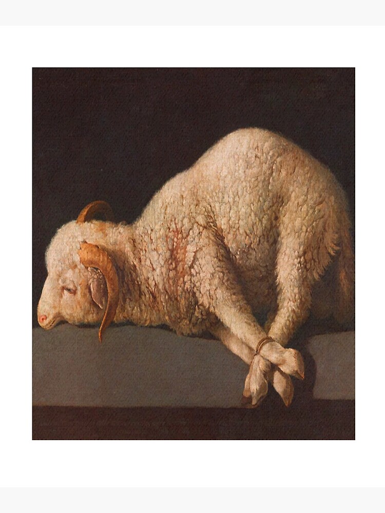 Francisco De Zurbarán Agnus Dei 1640 Premium Matte Vertical Poster