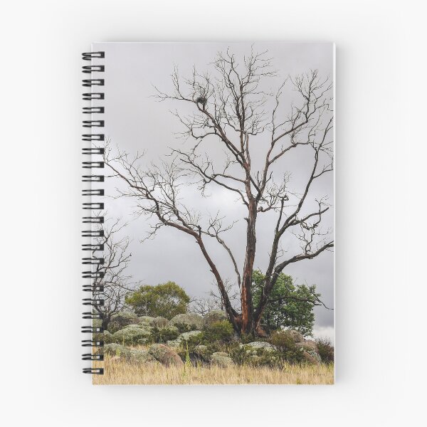 Item preview, Bare Tree - Lake George designed and sold by Lexa Harpell.