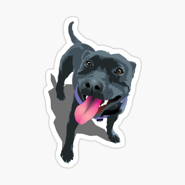 Black Staffordshire Bull Terrier Stickers Redbubble