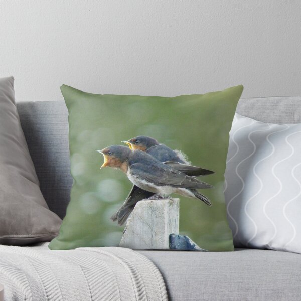 Item preview, Me..ME...MEEE.... First!!! - Welcome Swallows - NZ designed and sold by AndreaEL.