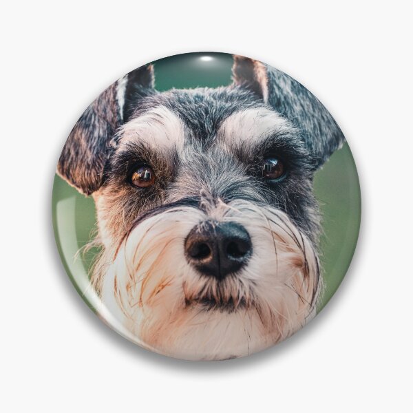 Item preview, Schnauzer Terrier Dog, Pure Breed designed and sold by PillowAndBehold.