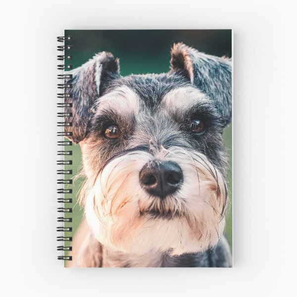 Item preview, Schnauzer Terrier Dog, Pure Breed designed and sold by PillowAndBehold.
