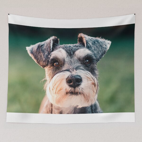 Item preview, Schnauzer Terrier Dog, Pure Breed designed and sold by PillowAndBehold.