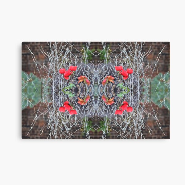 Red Roses Photography Pattern Collection Collage Floral Canvas Print