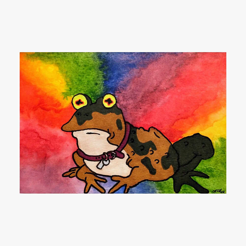 ALL HAIL HYPNOTOAD Photographic Print for Sale by DeepCut