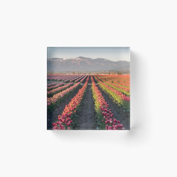 Item preview, Tulips Paradise designed and sold by Alla Gill.