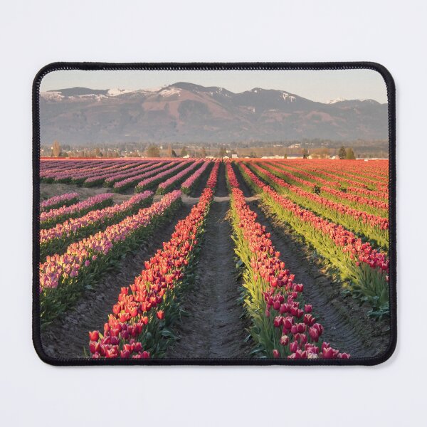 Item preview, Tulips Paradise designed and sold by Alla Gill.
