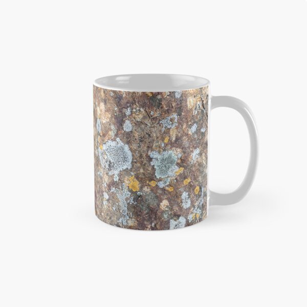 Item preview, Liquen gris y amarillo sobre roca designed and sold by Sinemathk.